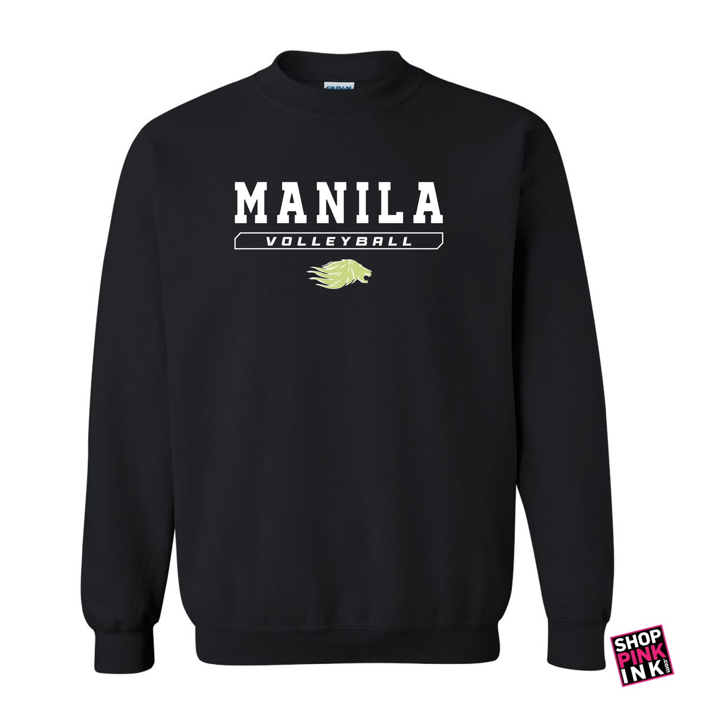 Manila Volleyball - 24252