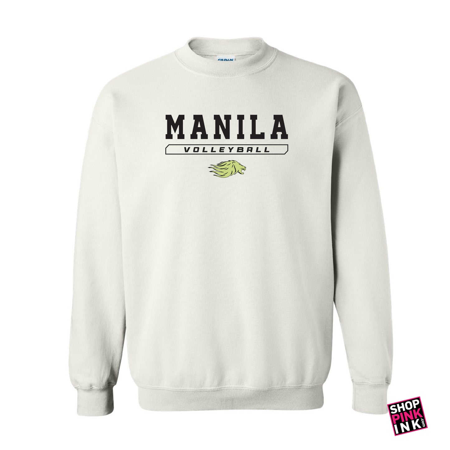 Manila Volleyball - 24252