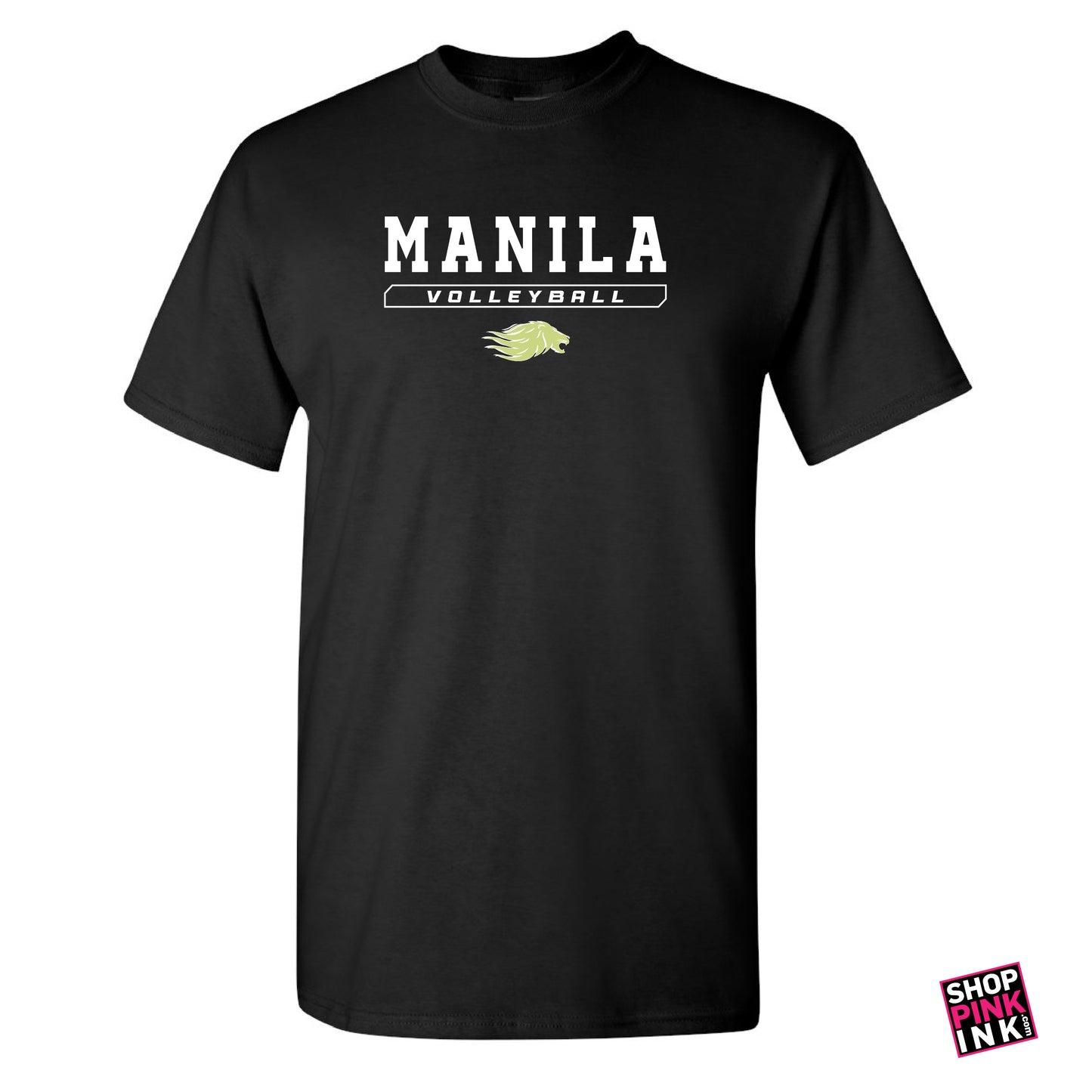 Manila Volleyball - 24252