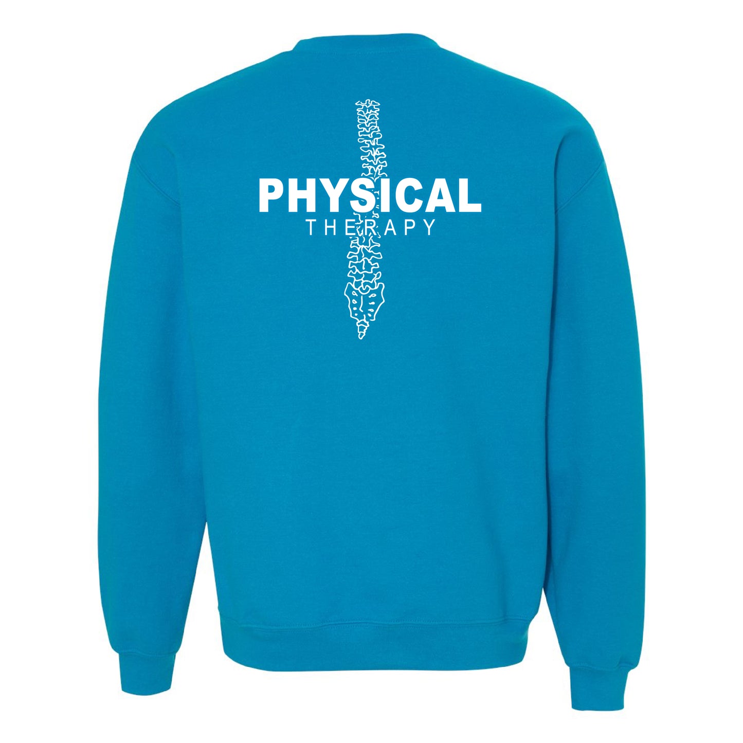 ASTATE - Physical Therapy - PTA Spine - 26008