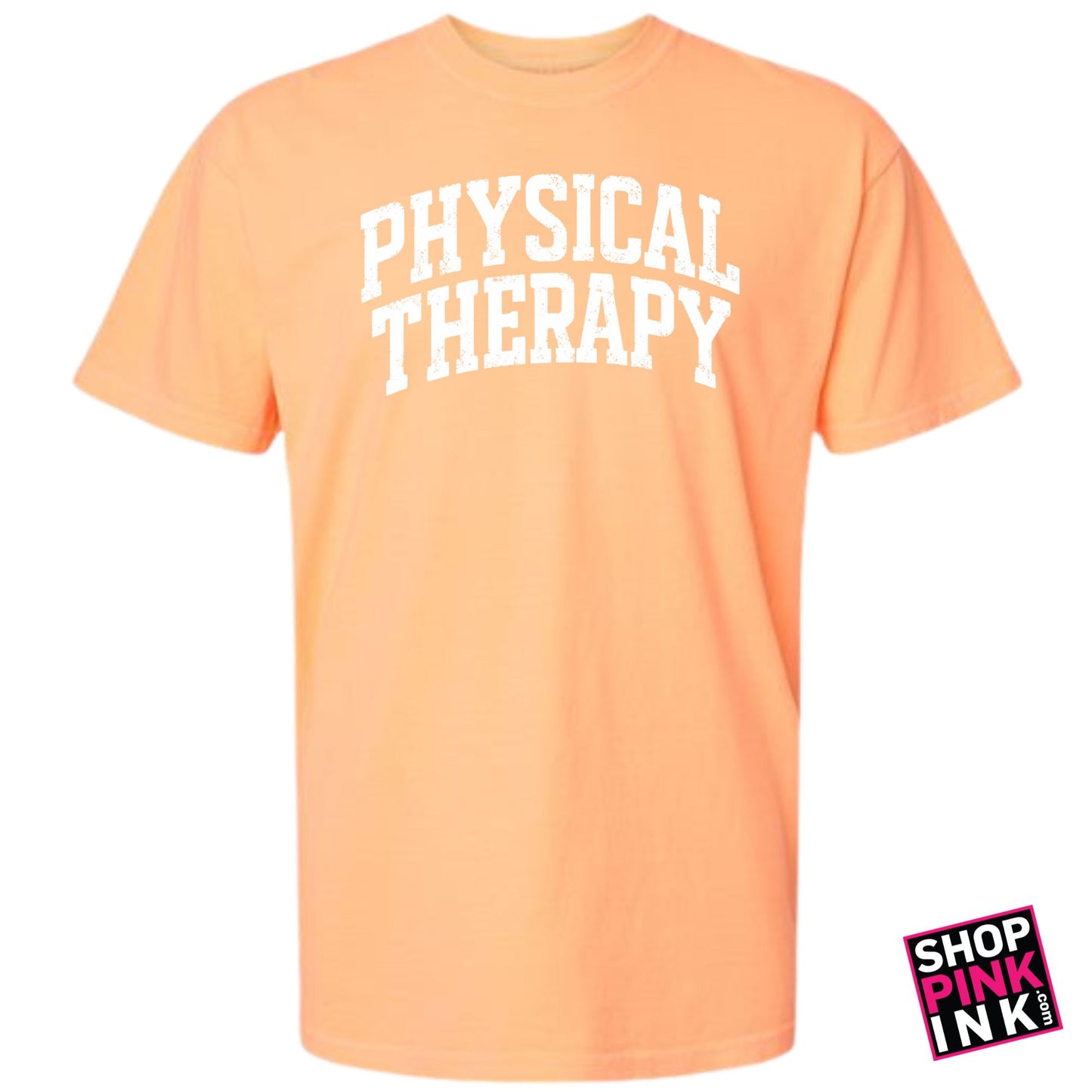 ASTATE - Physical Therapy - 27097