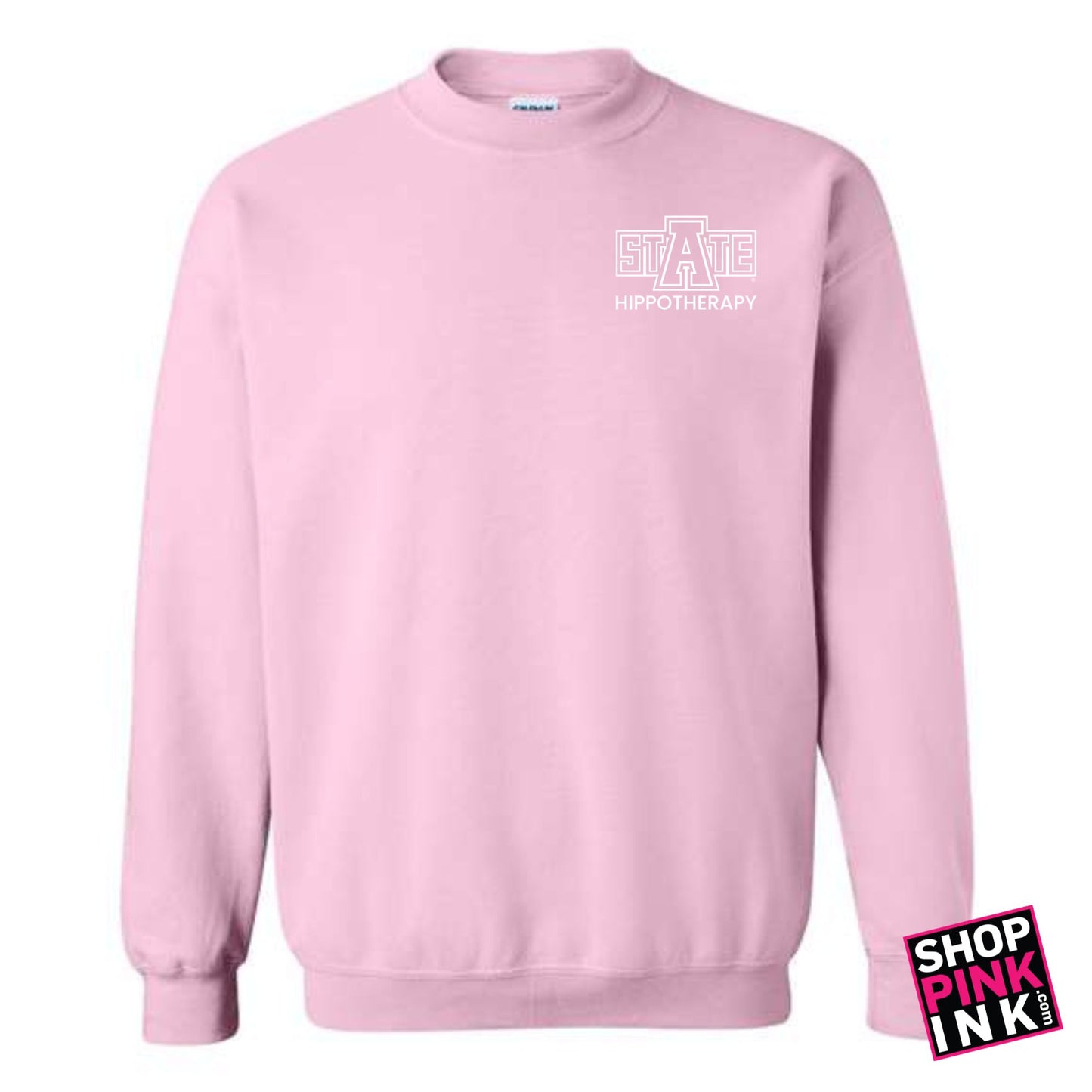 ASTATE - Physical Therapy - Hippotherapy - Crewneck - 26636