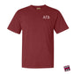Alpha Gamma Delta - One Color Crest - 22751