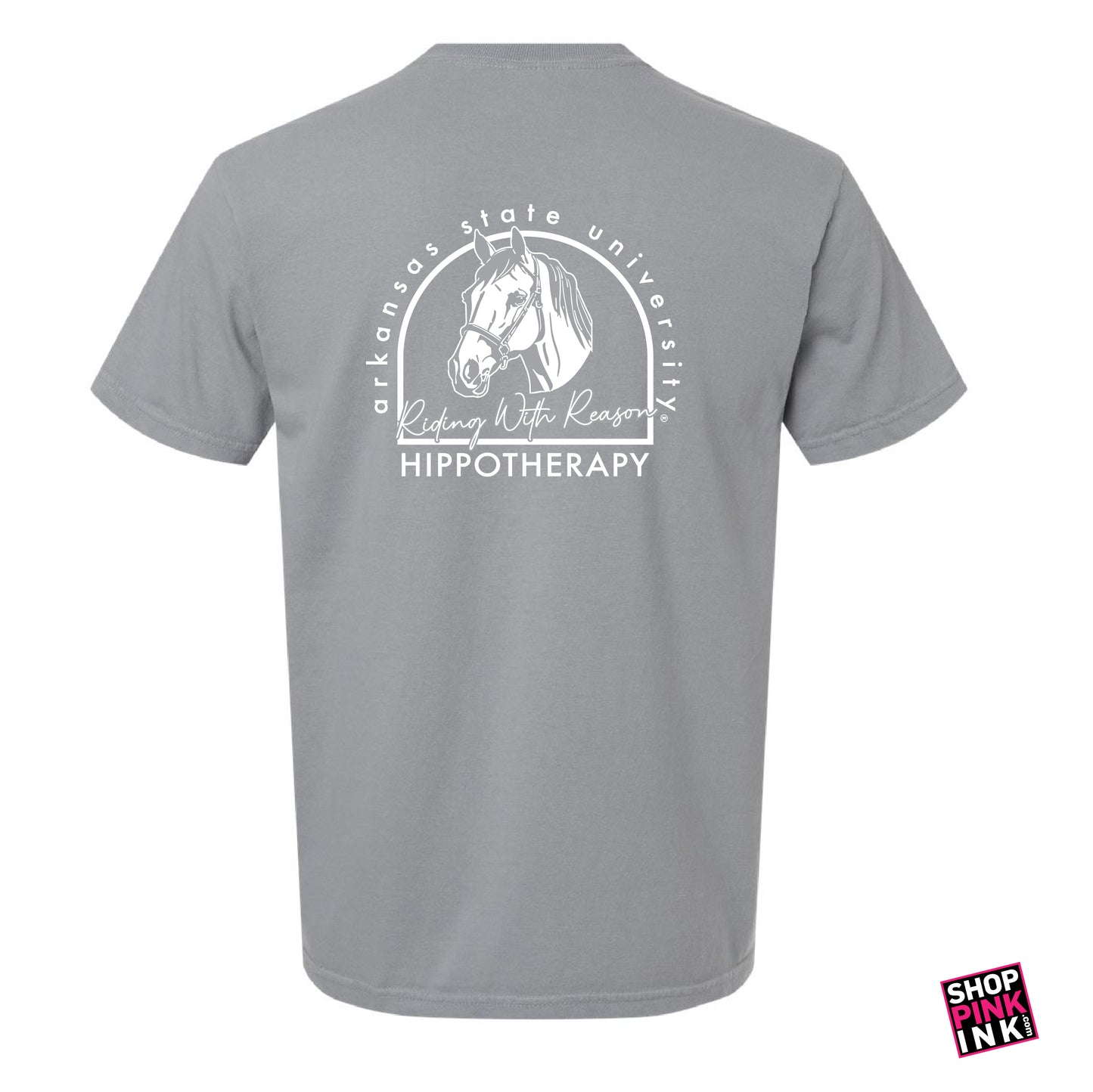 ASTATE Physical Therapy - Hippotherapy - 23596