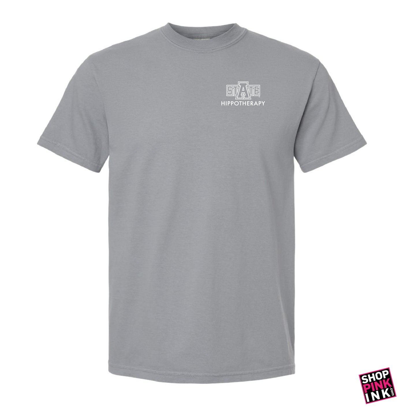 ASTATE Physical Therapy - Hippotherapy - 23596