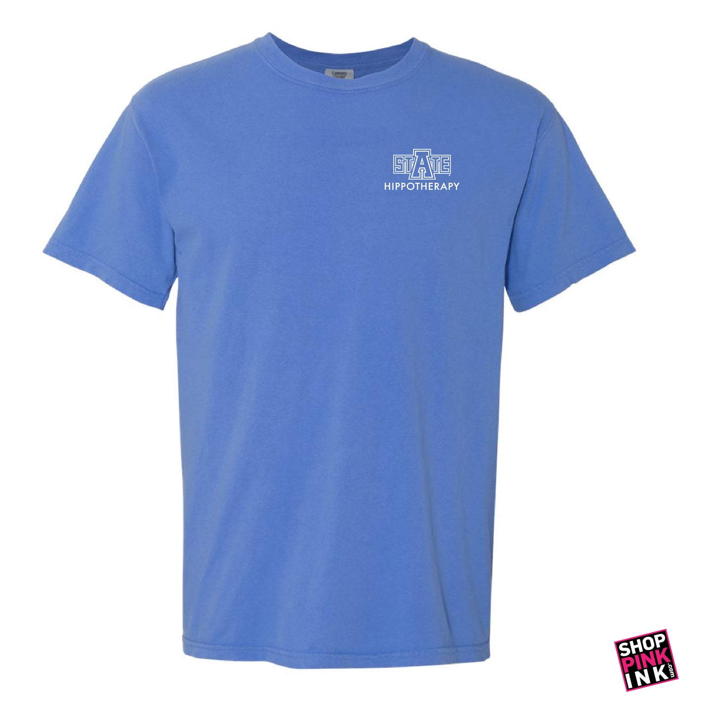 ASTATE Physical Therapy - Hippotherapy - 23596