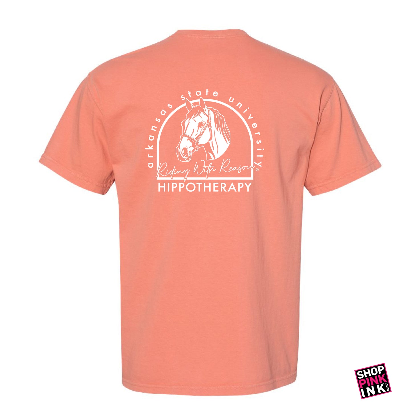 ASTATE Physical Therapy - Hippotherapy - 23596