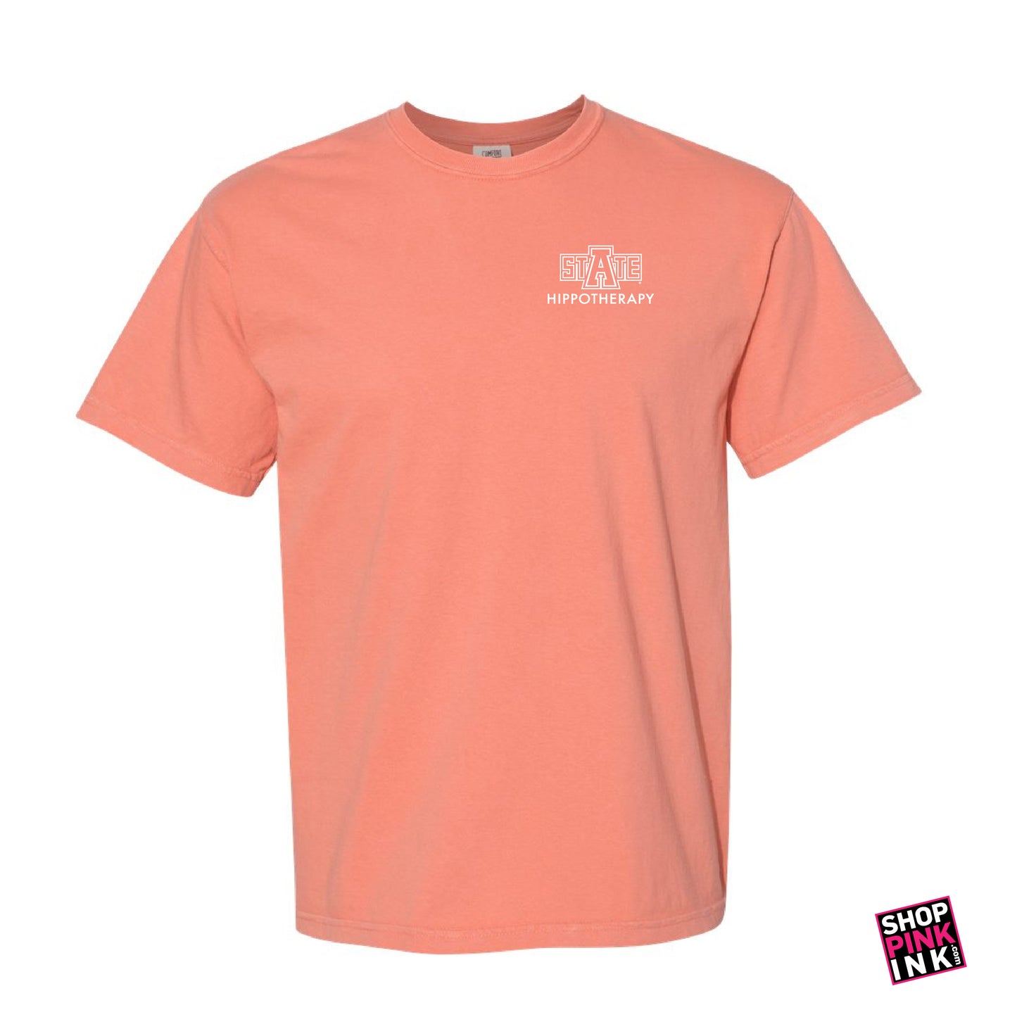 ASTATE Physical Therapy - Hippotherapy - 23596