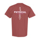 ASTATE - Physical Therapy - PTA Spine - 26008
