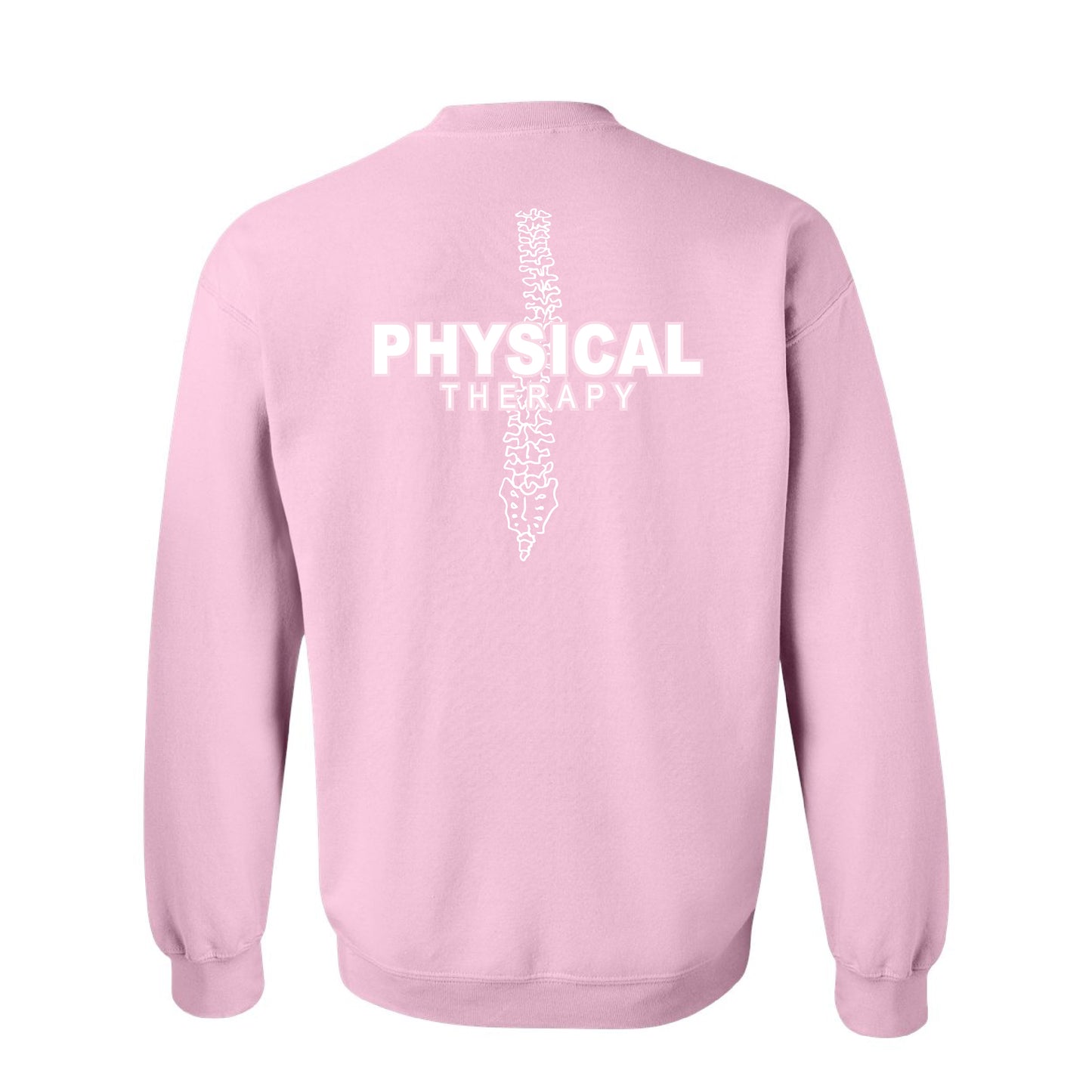 ASTATE - Physical Therapy - PTA Spine - 26008