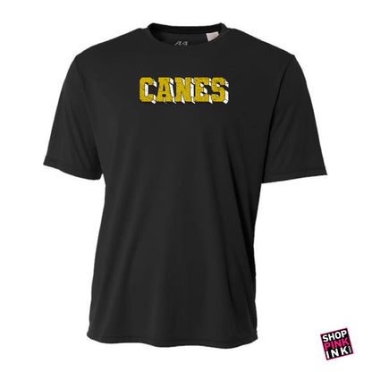 Jonesboro- International Studies - CANES - DriFit Short Sleeve - 25346