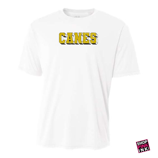 Jonesboro- International Studies - CANES - DriFit Short Sleeve - 25346