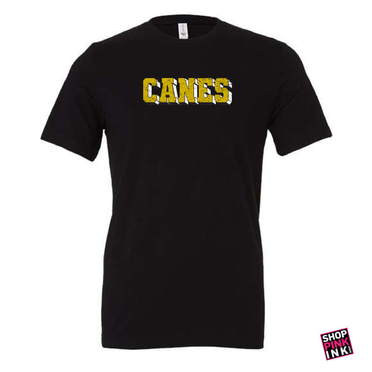 Jonesboro- International Studies - CANES - Short Sleeve - 25346
