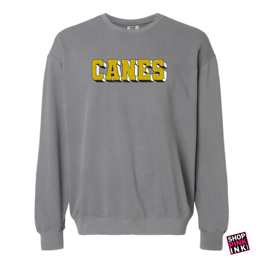 Jonesboro- International Studies - CANES - Lightweight Crewneck - 25346