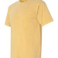ASTATE - Speech Pathology - Short Sleeve - 17-ASTATE-9756